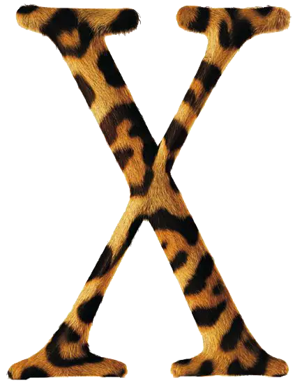 Mac OS X Jaguar logo